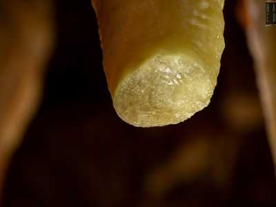 Ma non sono le uniche �ferite� di Torre di Lesco. Tutt'intorno a noi stalattiti e stalagmiti, anche di grosse dimensioni, mostrano mutilazioni delle punte: sono i resti dei furti perpetrati negli anni da visitatori indesiderati